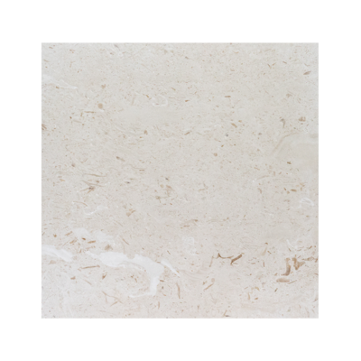 Shell Stone