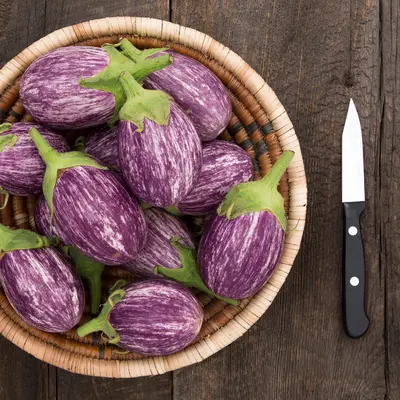 Eggplant - Piccolo (Organic Seed)