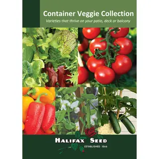 Value Pack - Container Veggie Collection (Seed)