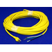 Power Cord, 14/3 75' 300V Yell