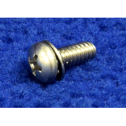 Screw