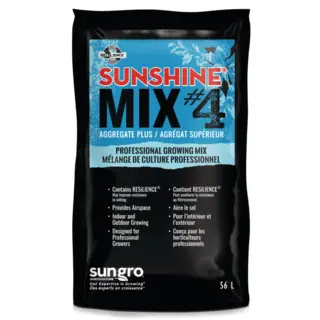 Sunshine Mix #4