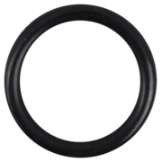 O-Ring (OR-PP-550)