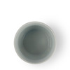 Edo-Style Dino Soba Cup Souyokuryu