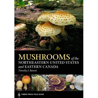 Mushrooms of the Northeastern United States and Eastern Canada