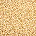 AMARANTH OG | 25 LBS
