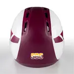 Conference Logo Decals