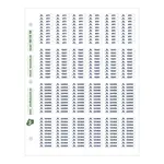 Shoe ID Adhesive Sticker Sheets