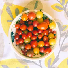 Vegetables and Herbs