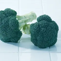Broccoli - Green Magic Hybrid (Bulk Seed)