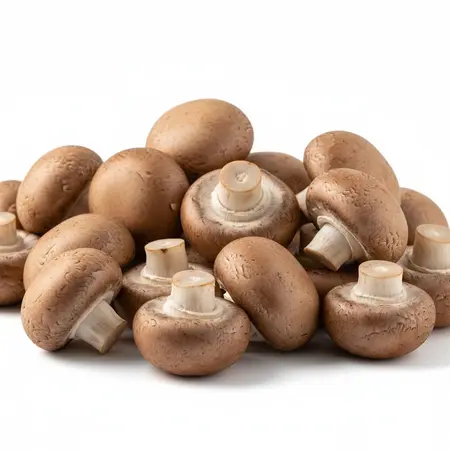 MUSHROOM CREMINI OG | 6/8 OZ