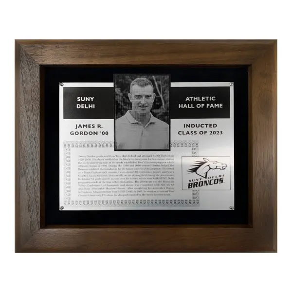 20 Series Hall of Fame & Tribute Award Plaques