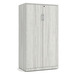 PL151 TWO DOOR 65"H STORAGE CABINET- Silver Birch