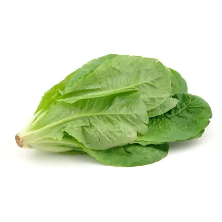 LETTUCE ROMAINE HEARTS OG | 12/3 CT