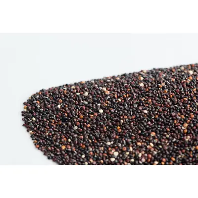 Black Quinoa Sprouts