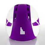 2 Color State Shape Decals