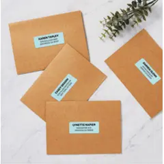 1 X 2-5/8" PASTEL BLUE LASER LABELS 750/PK AVE5980