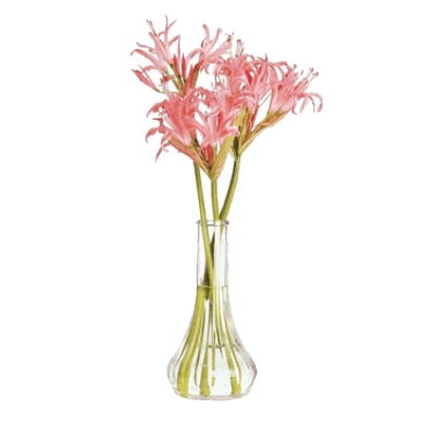 Cambro BV6CW135 Bud Vase 6" Tall