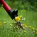 Step Weeder