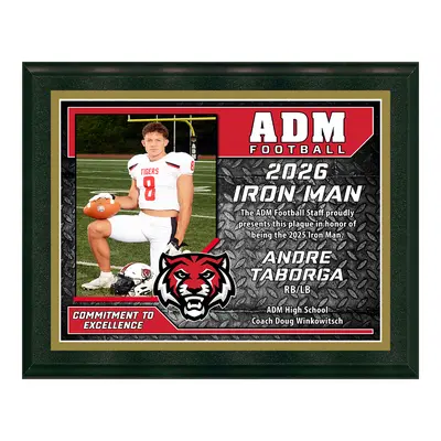 Deluxe Vividcolor AIO Award Plaques with Metal Border