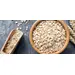 FLOUR OAT GF | 50 LBS