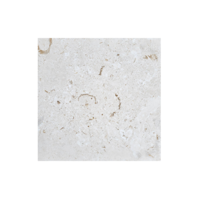 16X16 Shell Stone