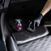 Gyeon ScrubPad EVO -