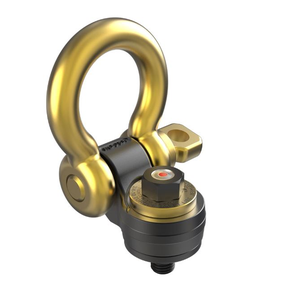 Die-Flipping Hoist Rings