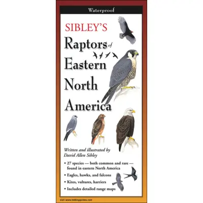 Sibley's Raptors Of Eastern North America