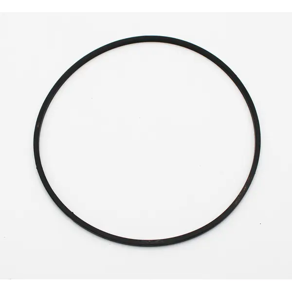 Sundance Pump Volute O-Ring for Theramax Theraflo Pumps