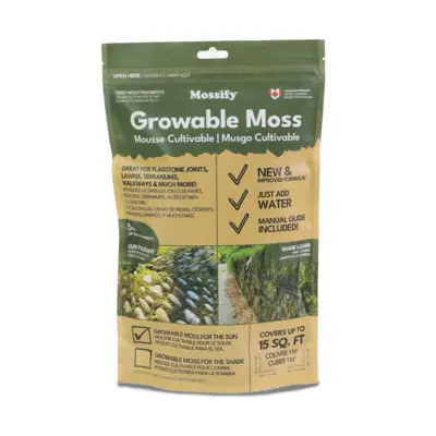 Sun Growable Moss Small Bag