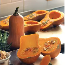 Winter Squash - Honeynut Butternut (Bulk Seed)