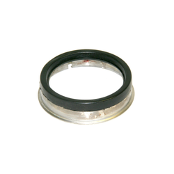 Seal, Ring