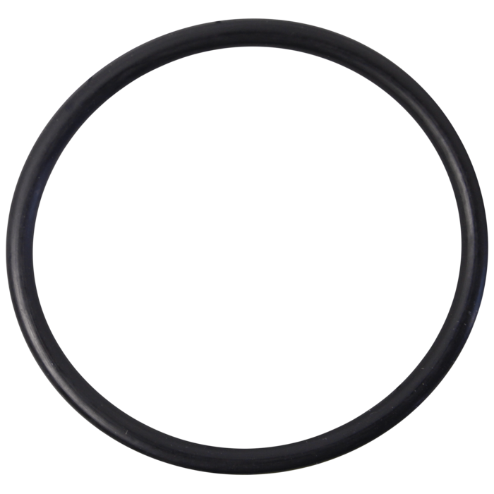 O-Ring (OR-PP-380)
