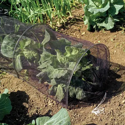 Netting Grow Tunnel