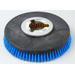 Brush, 13" Poly Carpet W/Plate