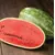 WATERMELON VALENTINO 10G