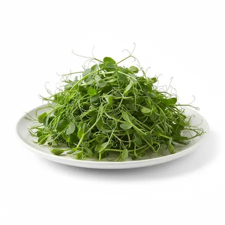 SPROUTS PEA SHOOTS LOCAL OG | 2/1 LB