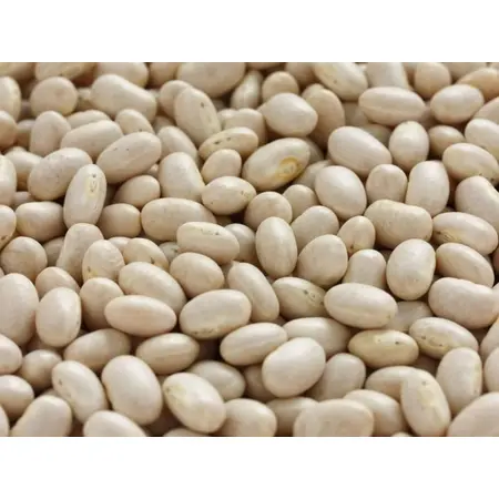 BEANS NAVY OG | 25 LBS