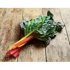 CHARD RAINBOW OG | 24 CT