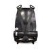 Actimo Seat Frame with 4-Point Harness - Back View