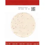 Easy Plate Prepared Media Plates