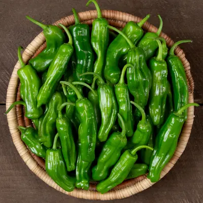 Sweet Pepper - Katana Shishito (Organic Seed)