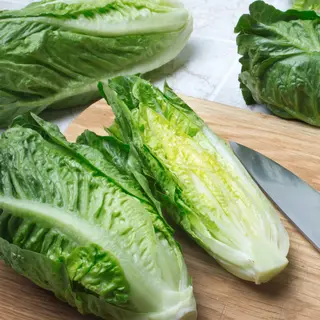 Lettuce - Xanadu (Seed)