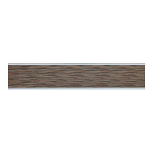 12X66 VISCONTI PANEL SILV FRM