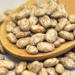 BEANS PINTO OG | 25 LBS