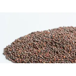 Mumm's Broccoli Sprouts