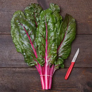 Swiss Chard - True Magenta (Organic Seed)