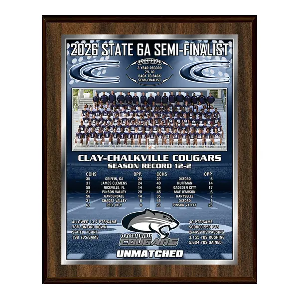 Vividcolor AIO Team Picture Plaques with Digital Metallic Border