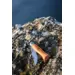 Opinel N°06 Carbon Knife
